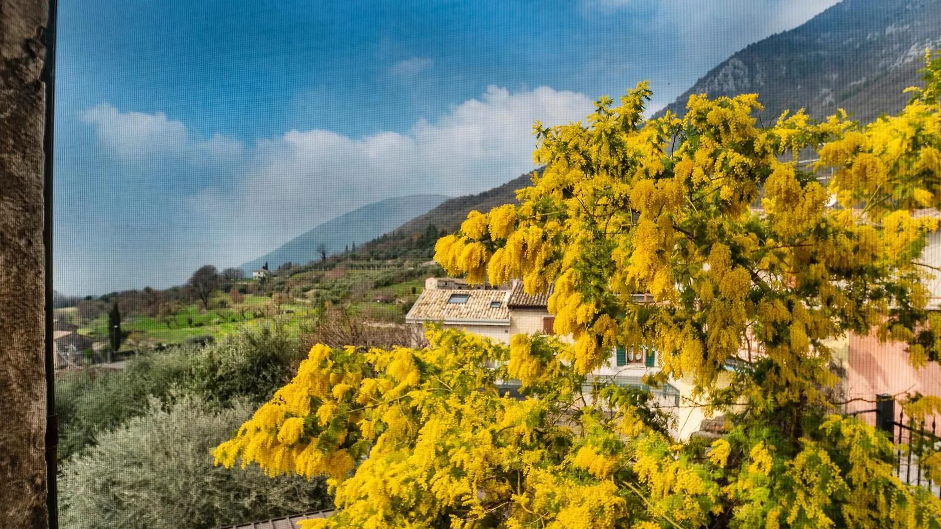 Apartamento Dimora Gaon Casa Aureus Caprino Veronese Italia